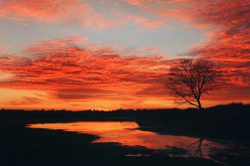 Sonnenuntergang auf den Elbwiesen