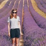 Lavendelfeld Südfrankreich