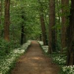 Mehr über den Artikel erfahren Leipzig im Wandel der Jahreszeiten