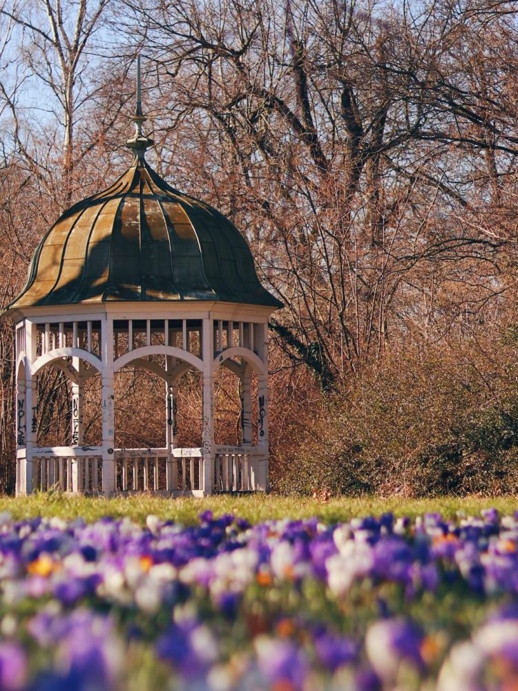 Frühlingsblüher in Leipzig