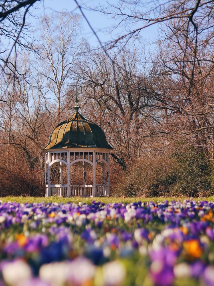 Frühlingsblüher in Leipzig